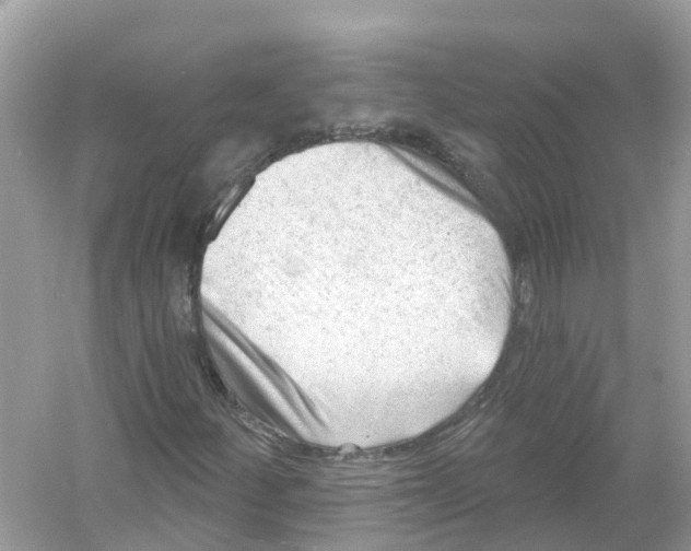 X0000053021252200508051217