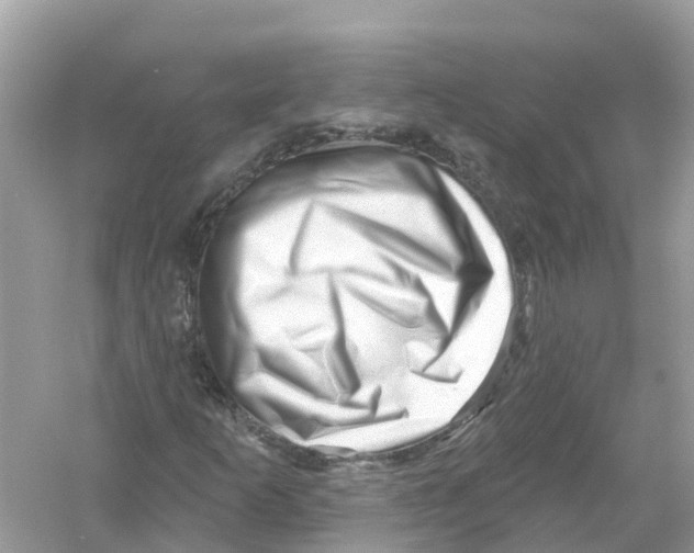 X0000053021253200508051217