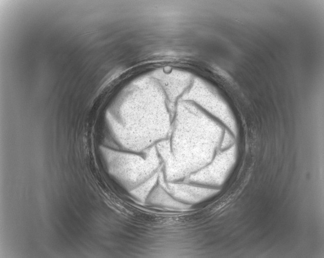 X0000053021259200508051217