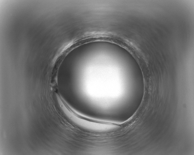 X0000053021261200508051217