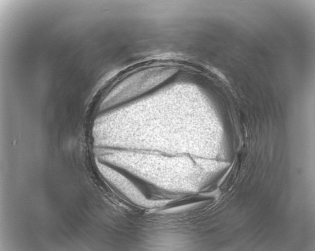 X0000053021263200508051217