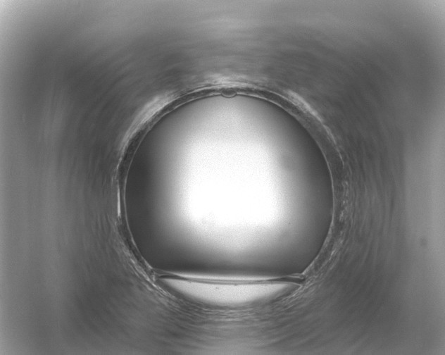 X0000053021269200508051217
