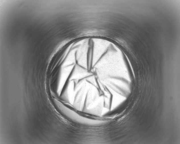 X0000053021277200508051217