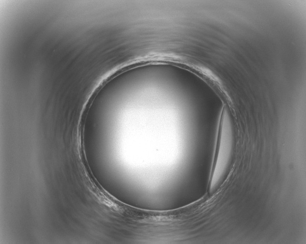 X0000053021280200508051217