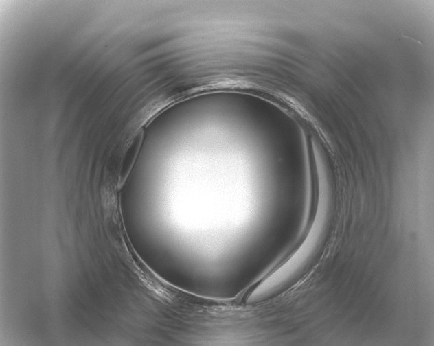 X0000053021281200508051217
