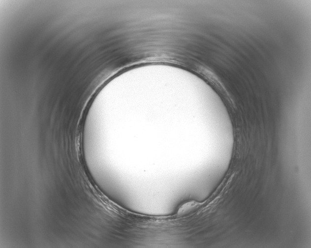 X0000053021284200508051217