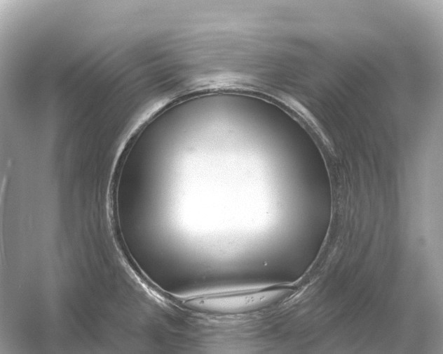 X0000053021285200508051217