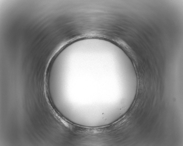 X0000053021286200508051217