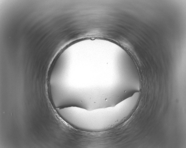 X0000053021288200508051217