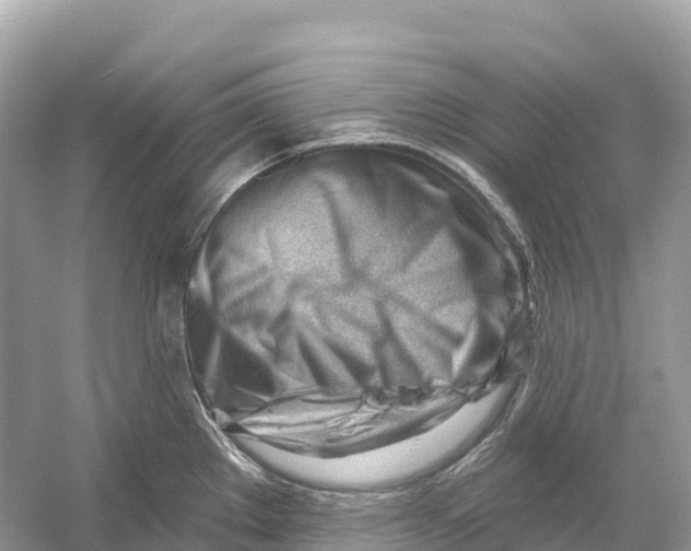 X0000053021289200508051217