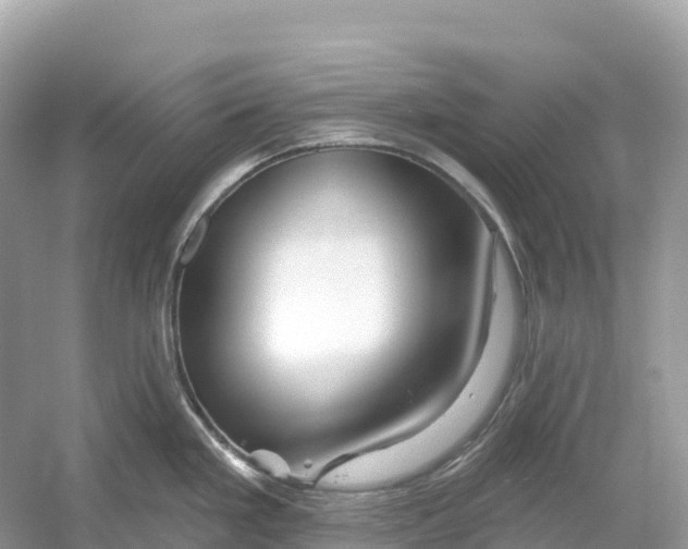 X0000053021293200508051217