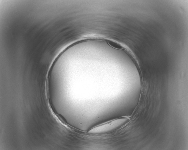 X0000053021295200508051217