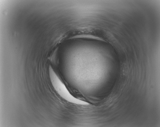 X0000053021298200508051216