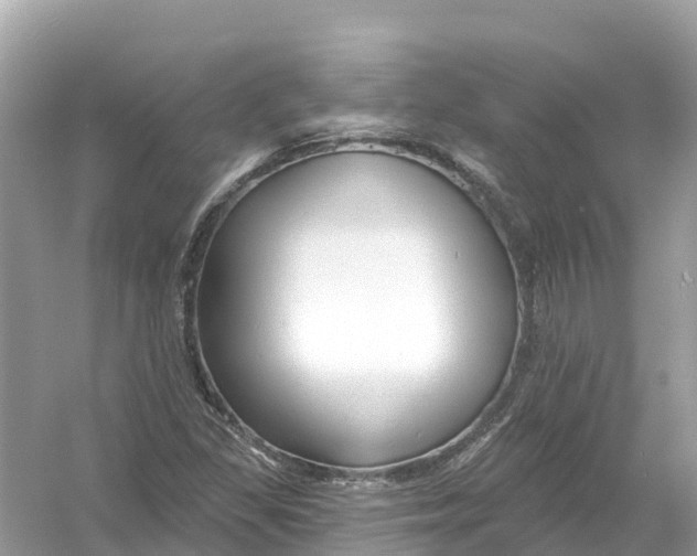 X0000053021309200508051216
