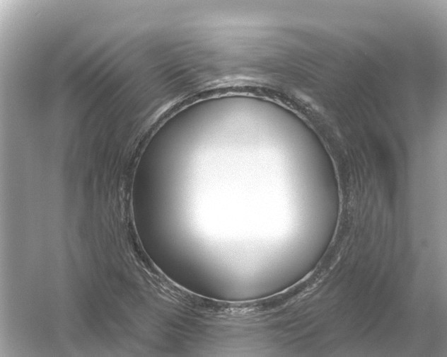 X0000053021313200508051216