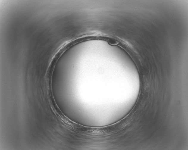 X0000053021318200508051216