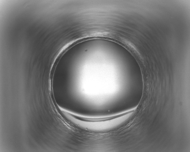 X0000053021324200508051216