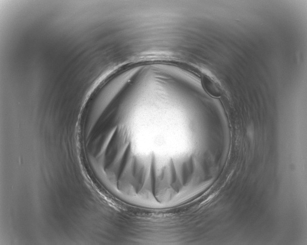 X0000053021325200508051216