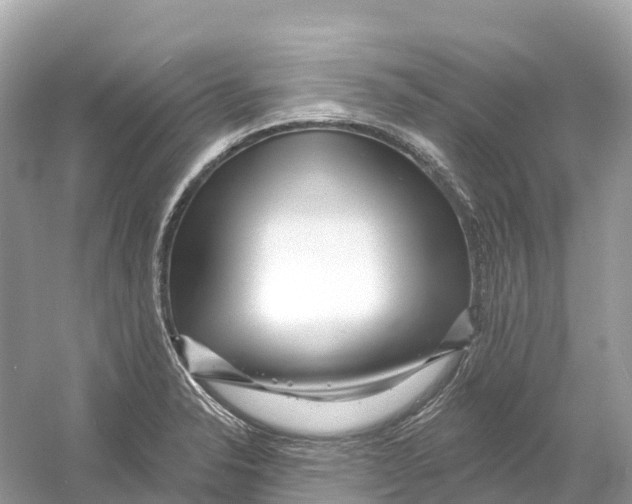 X0000053021326200508051216