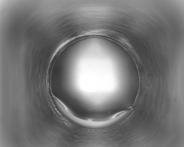 X0000053021328200508051216
