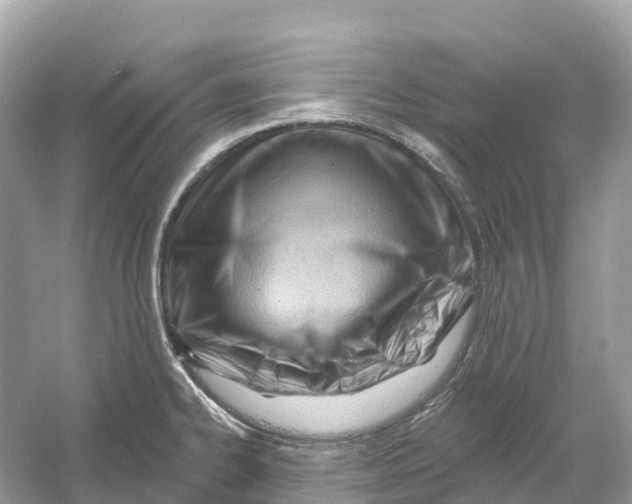 X0000053021334200508051216