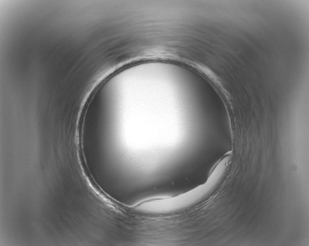 X0000053021335200508051216