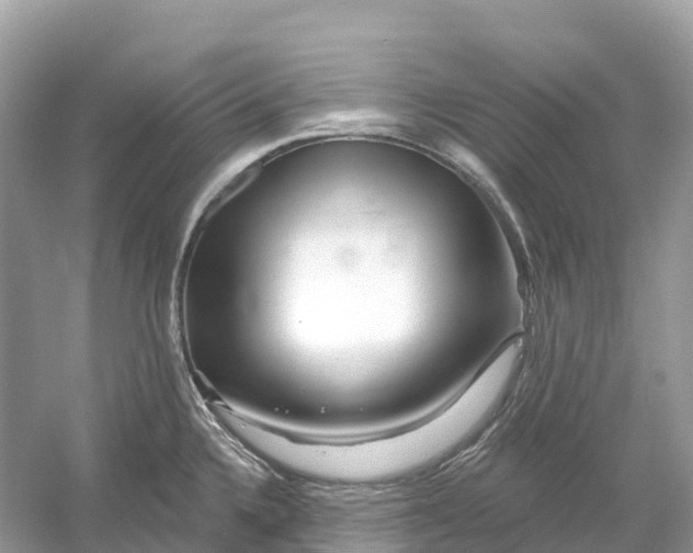 X0000053021336200508051216