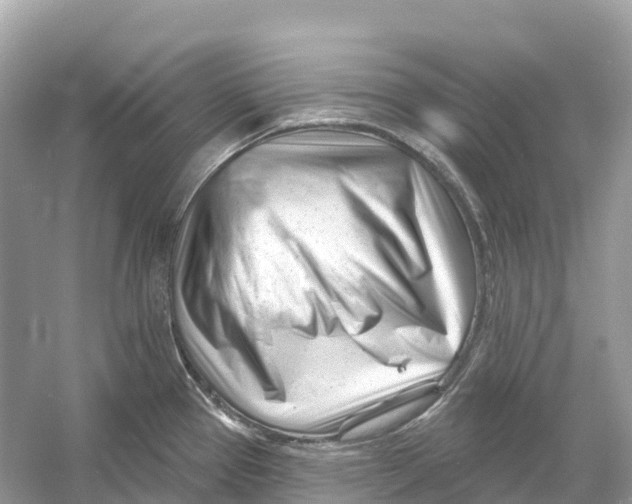 X0000053021337200508051216