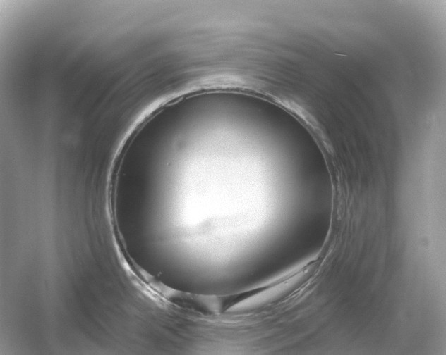 X0000053021342200508051217