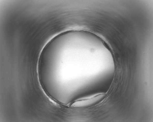 X0000053021343200508051217