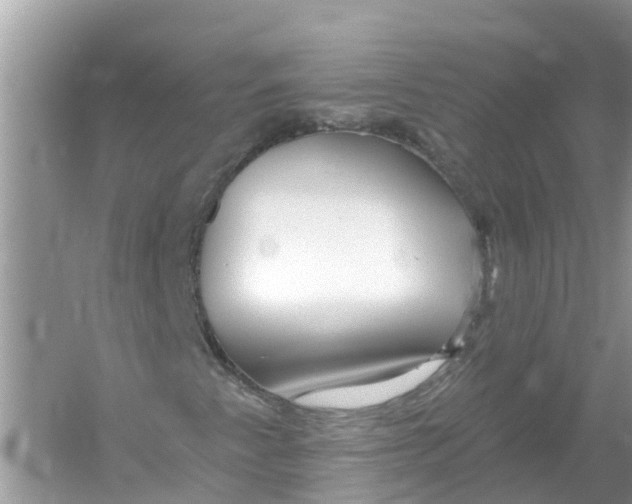 X0000053021345200508051216