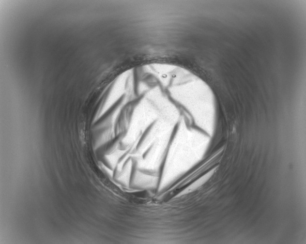 X0000053021348200508051216