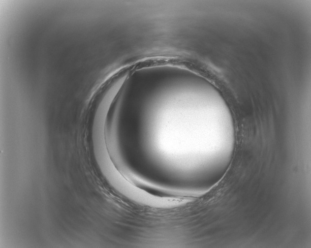 X0000053021352200508051216