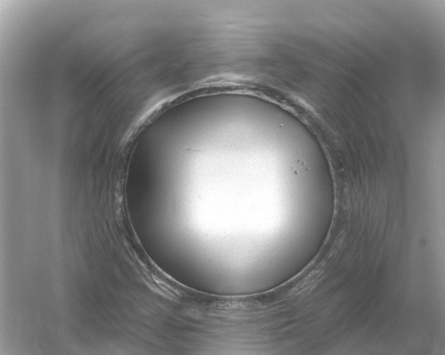 X0000053021355200508051216