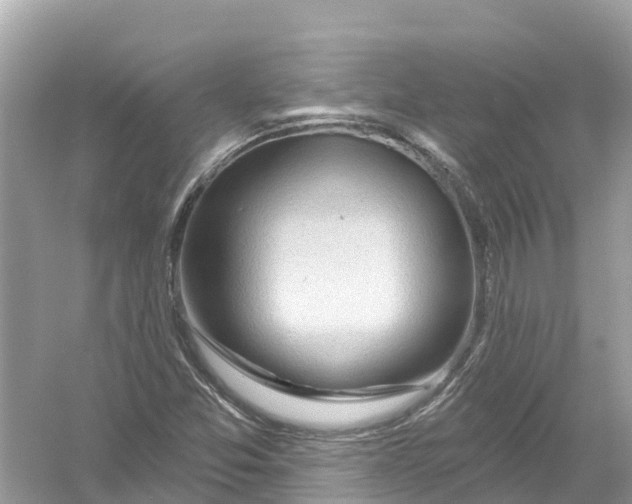 X0000053021357200508051216