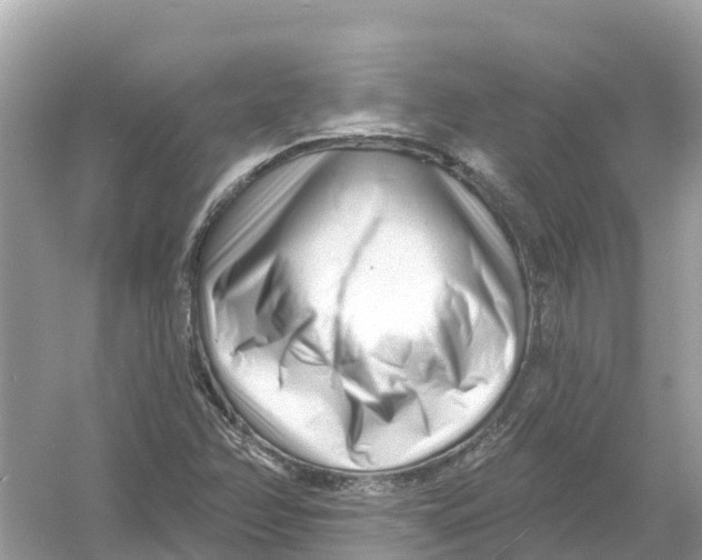 X0000053021358200508051216