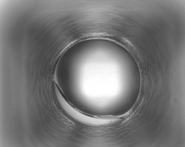 X0000053021361200508051215