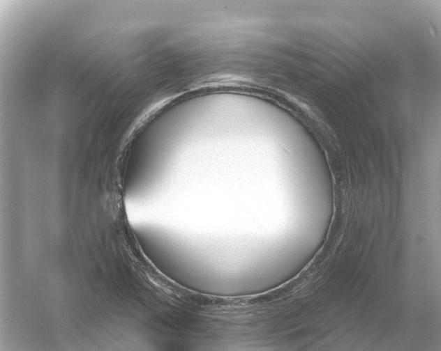 X0000053021363200508051215