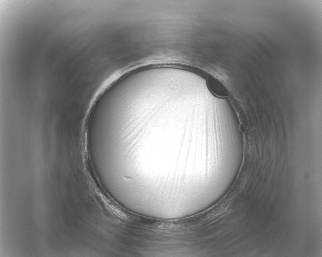 X0000053021366200508051215