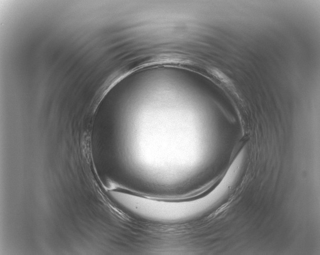 X0000053021369200508051215