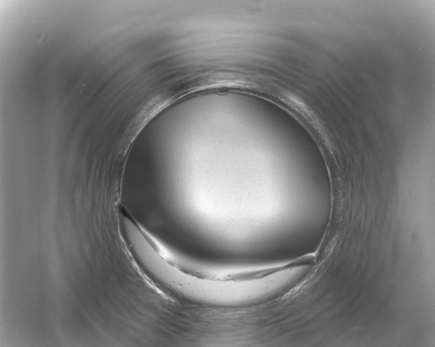 X0000053021377200508051215