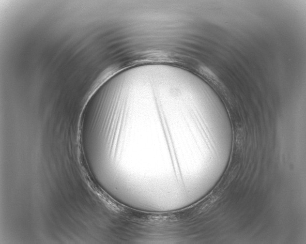 X0000053021378200508051215