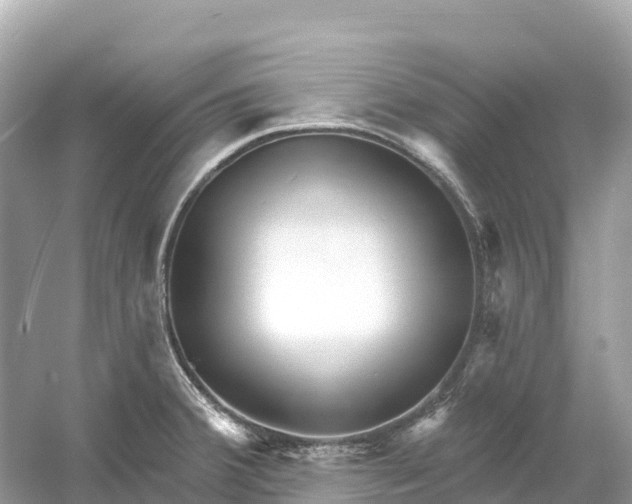 X0000053021380200508051215
