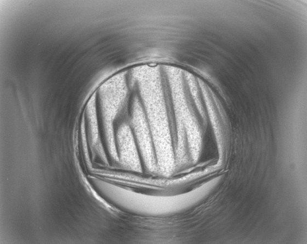X0000053021383200508051215