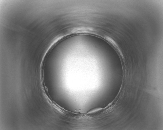 X0000053021384200508051215