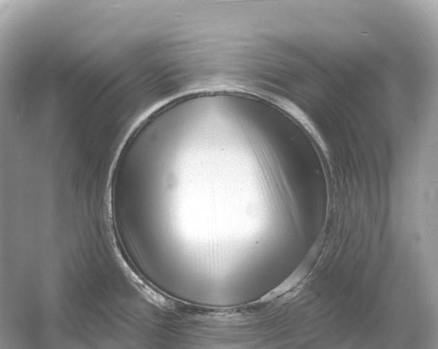 X0000053021388200508051215