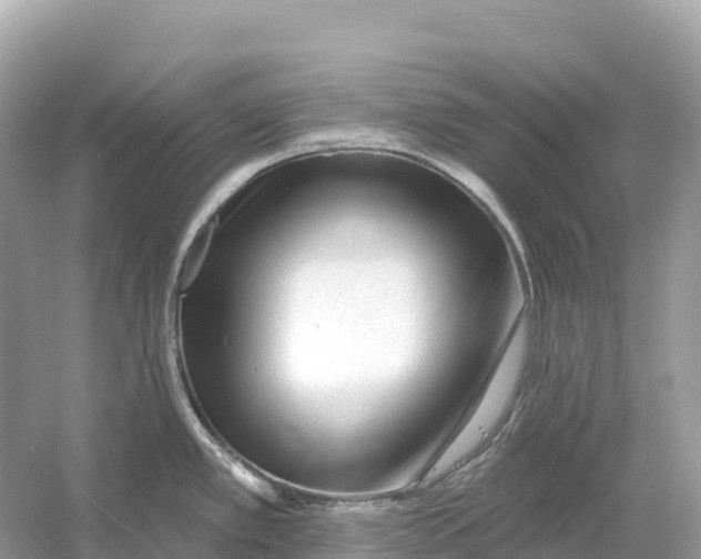 X0000053021389200508051215
