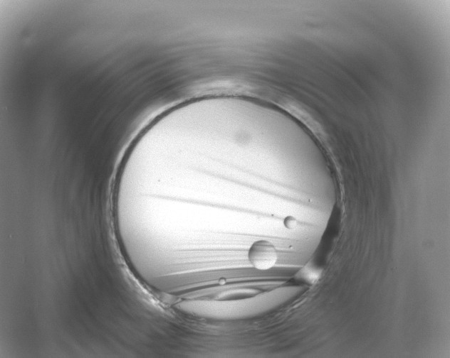 X0000053021392200508051215