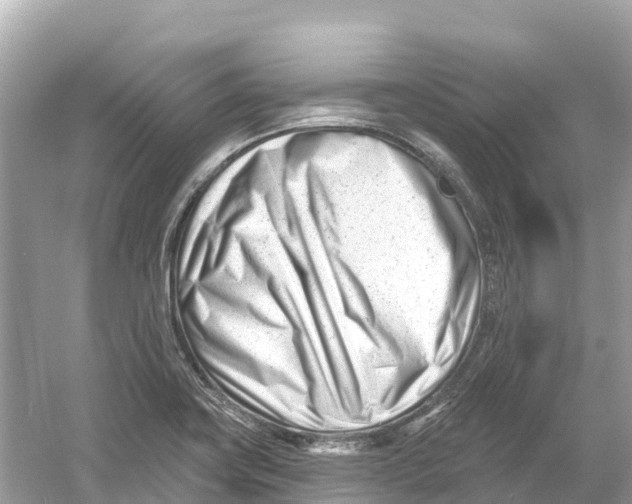 X0000053021419200508051215