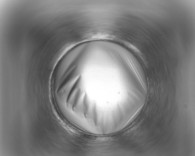 X0000053021423200508051215